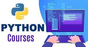 Becoming a Python Pro: The Ultimate Developer's Guide